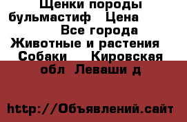 Щенки породы бульмастиф › Цена ­ 25 000 - Все города Животные и растения » Собаки   . Кировская обл.,Леваши д.